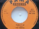 45 ROCKSTEADY / THE TERMITES / PUSH IT UP / PAMA RECORDS / LISTEN