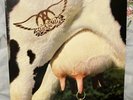 Rare VG+ 1993 2LP Aerosmith Get A Grip OIS GEF 24444