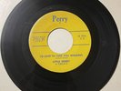 Little Denny & Torkays ROCKABILLY 45 I'd Love To Take You Walking PERRY VG+++