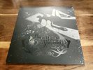 Bullet For My Valentine - The Poison Vinyl Record LP - Limited Edition
