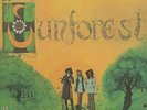 SUNFOREST - Sound Of Sunforest (reissue) - Vinyl (limited LP)