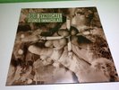 * Dub Syndicate ‎– Stoned Immaculate  On-U Sound ‎– ON-U LP56 UK 1992  TOP