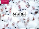 SPARKS 'HELLO YOUNG LOVERS' Deluxe Double VINYL LP (2022)