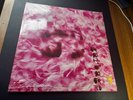 garbage vinyl lp uk 1st press rare