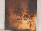 Mandolin Orange - Blindfaller LP vinyl record 12
