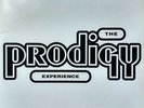 The Prodigy - Experience (2xLP, Album) (Very Good Plus (VG+))