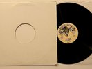 Dizzy Flemming / Mikey Jarrett Zionics Ressurection  Reggae Boogie Rare LP Hear