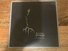 arctic monkeys my propeller vinyl