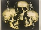 Skull Snaps Vinyl Reissue