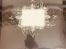 Tool aenima vinyl record