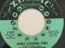 Northern Soul 45/ Ruby Andrews 