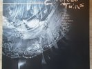 ORIGINAL VINYL LP by the COCTEAU TWINS - TREASURE - 1984 -