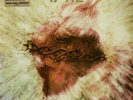 LP Litfiba - 17 Re doppio Vinile cristallo