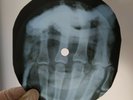 HOWKIN WOLF SHAKE FOR ME X-Ray USSR Record Roentgen Bones Ribs Music Vinyl