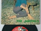 R&B Group - The Jarmels TOP RANK 20008 Little lonely one / The way... +2  1961
