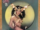 Cher – Take Me Home - Vinyl Picture Disk - VERY RARE VG+