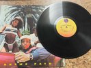 Ice-T - Rhyme Pays Vinyl Record LP 1987 Original Pressing LP Vinyl Picture Cover