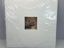 Grouper Shade Vinyl Record LP