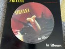 NIRVANA In Bloom Vinyl Picture Disc