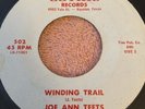 RARE Houston Blues Joe Ann Teets Winding Trail Gothic EX palladium 45