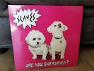 SLAVES - ARE YOU SATISFIED 2015 UK INDIE PUNK ROCK RARE VINYL LP BEASTIE BOYS
