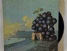 Moby Grape - WOW- 1968 US 1st Press Album Psych Rock (NM) Ultrasonic Clean