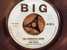 DOBBY DOBSON “THAT WONDERFUL SOUND”/“I WASN’T BORN YESTERDAY” 1970 REGGAE 45
