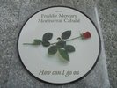 Freddie Mercury & Montserrat Caballe - How Can I Go On 1989 UK 7