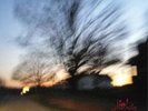 IRWIN , CATHERINE - LITTLE HEATER NEW VINYL RECORD