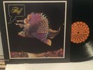 FLUFF  LP Self Titled - ROULETTE SR-3011 LP-  W/INSERT -  RARE 1972 PSYCH ROCK