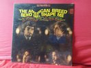 American Breed 