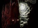 Under the Church Rabid Armageddon (Vinyl) 12