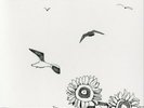 `LEWIS, NAOMI`-SEAGULLS & SUNFLOWERS VINYL LP NEW