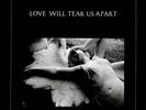 Love Will Tear Us Apart - Joy Division Vinyl, 12
