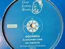 AQUARIUS  (PHOTEK) - DOLPHIN TUNE / AQUATIC - GOOD LOOKING GLR009 RARE BUKEM