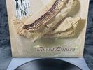 LP The Flying Burrito Bros. - Burrito Deluxe | Japan Press | EX+/EX+ | Rock
