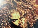 Janet Jackson - The Velvet Rope - UK Deep Red Coloured LP/Vinyl album 2019