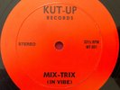 MIX-TRIX (IN VIBE) KUT-UP 12