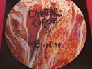 Cannibal Corpse Picture Vinyl Death Bolthrower Obituary Gorefest Deicide