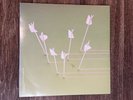 Good News for People Who Love Bad News by Modest Mouse - Vinyl LP  EX/EX. 2004