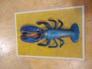 The B-52's: Rock Lobster (orig 1986 U.K. limited ed 7 inch shape/picture disc)