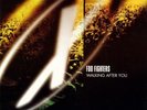 Foo Fighters / Walking After You 1998 UK 7in Elektra E4100 Ween / Beacon Light