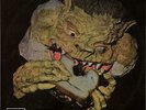 BLACK CAT BONES: BARBED WIRE SANDWICH [LP vinyl]