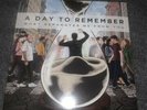 A Day To Remember - what separates me from you Starburst Vinyl