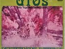 GTO's - PERMANENT DAMAGE - GATEFOLD LP - PSYCHEDELIC - NEAR MINT LP & BOOKLET