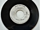 SUSAN BARRETT What's It Gonna Be RCA Promo VG+ to EX