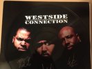 Westside Connection Promo Vinyl Picture Disc
