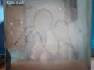 Kate bush 50 words for snow 1st press Vinyl LP new/sealed 2011