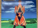David Bowie - Earthling - 2 x Vinyl (from Brilliant Adventure box set)