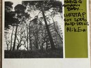 Task Force - Voice Of The Great Outdoors Orig U.K. 12’ Mint “Signed By Artists”